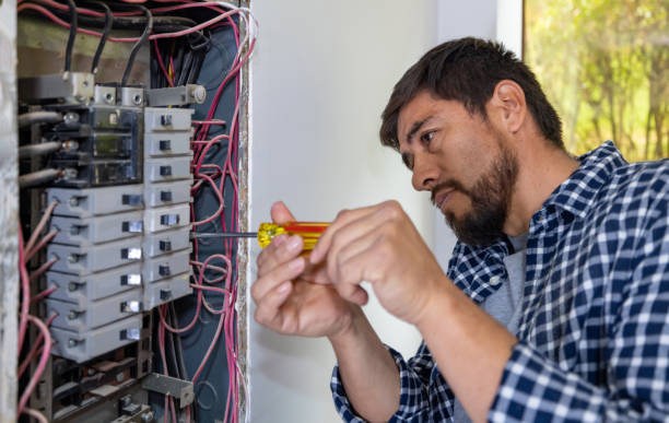 Best Electrical Repair Services  in Alamo, TN